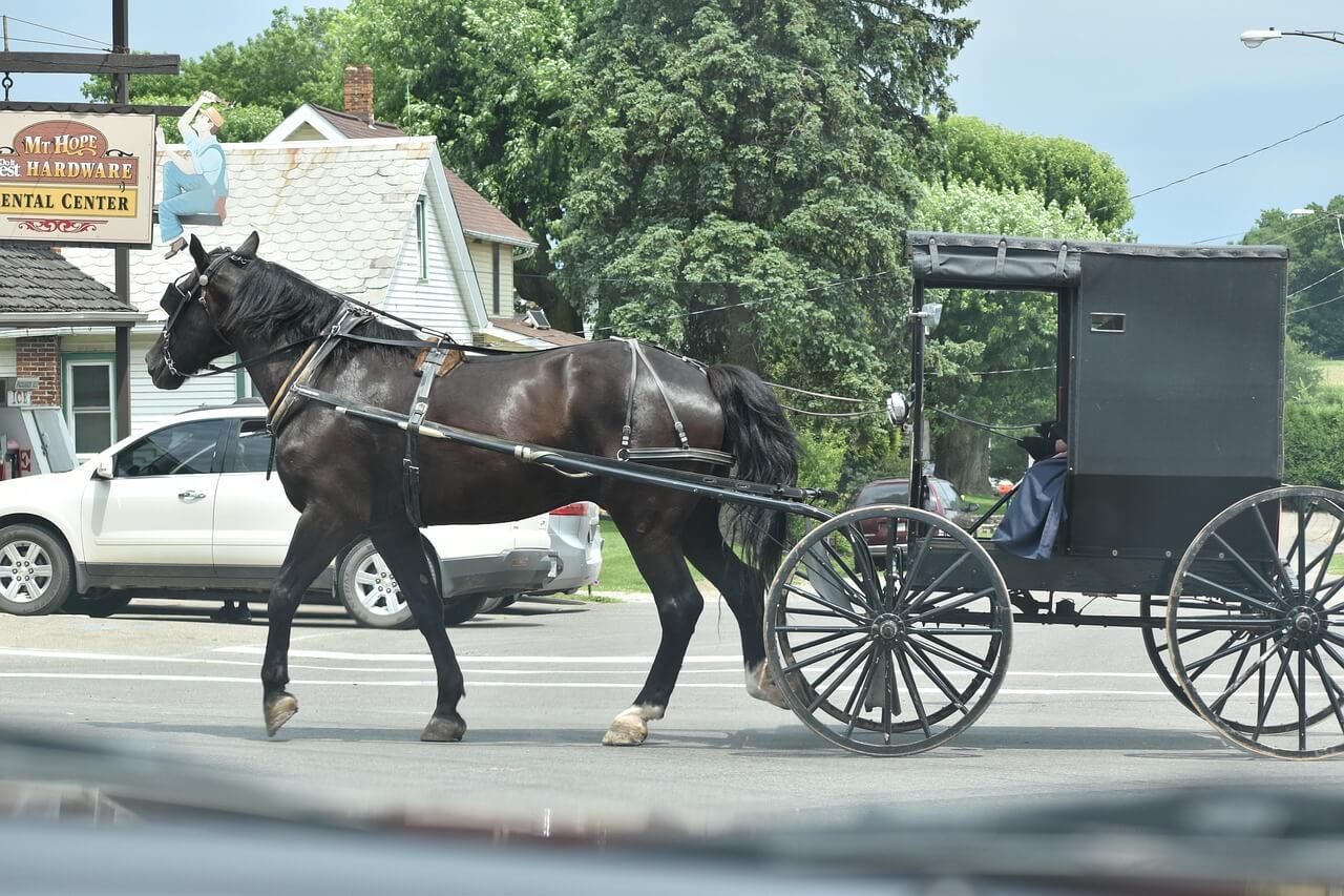 Los amish, sus creencias y sus orígenes