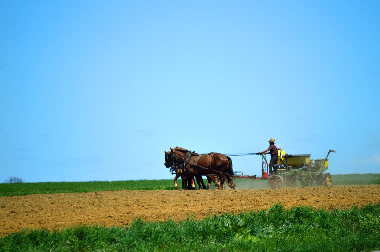 Los amish, sus creencias y sus orígenes