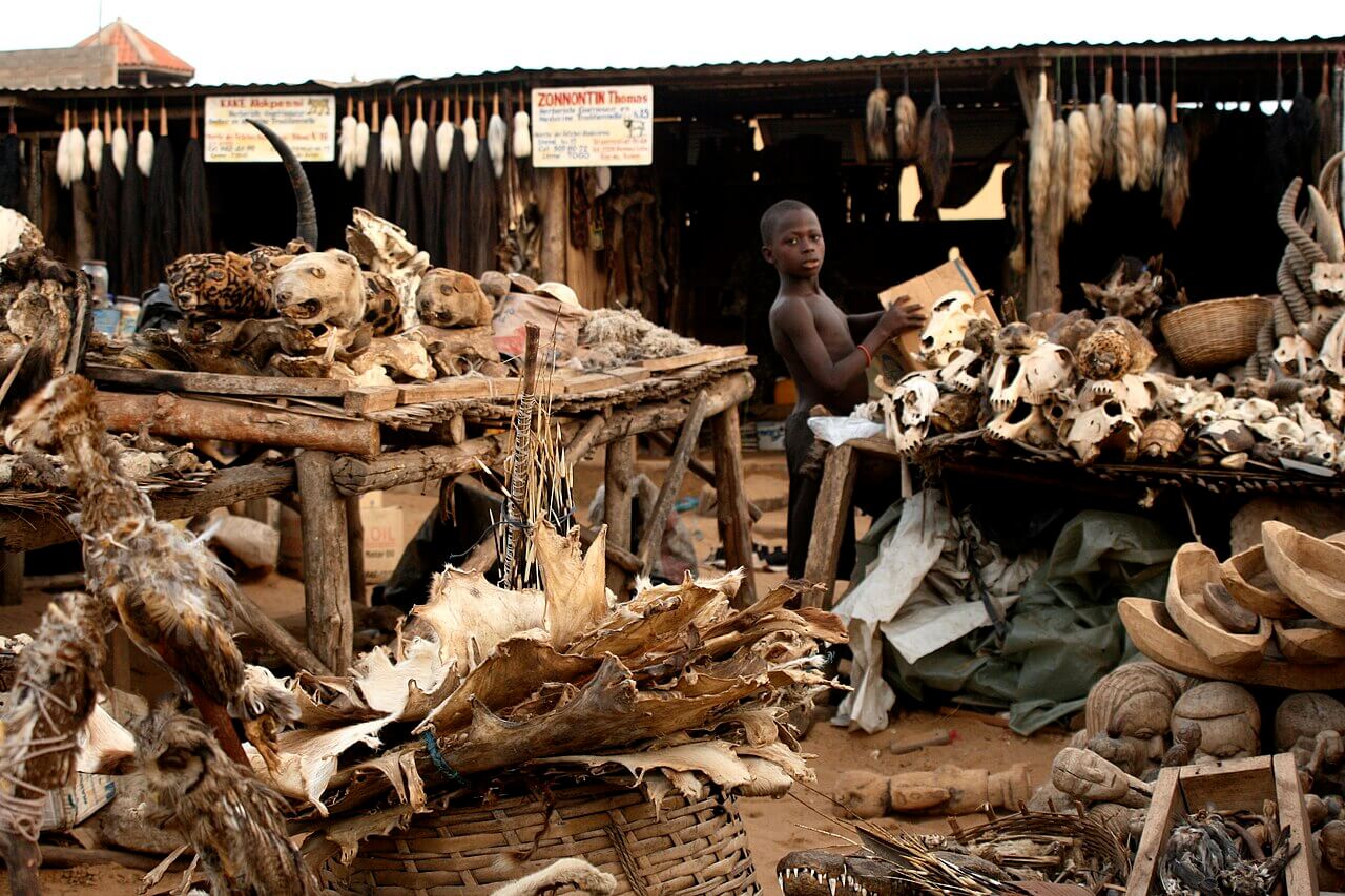 Mercado vudú en África