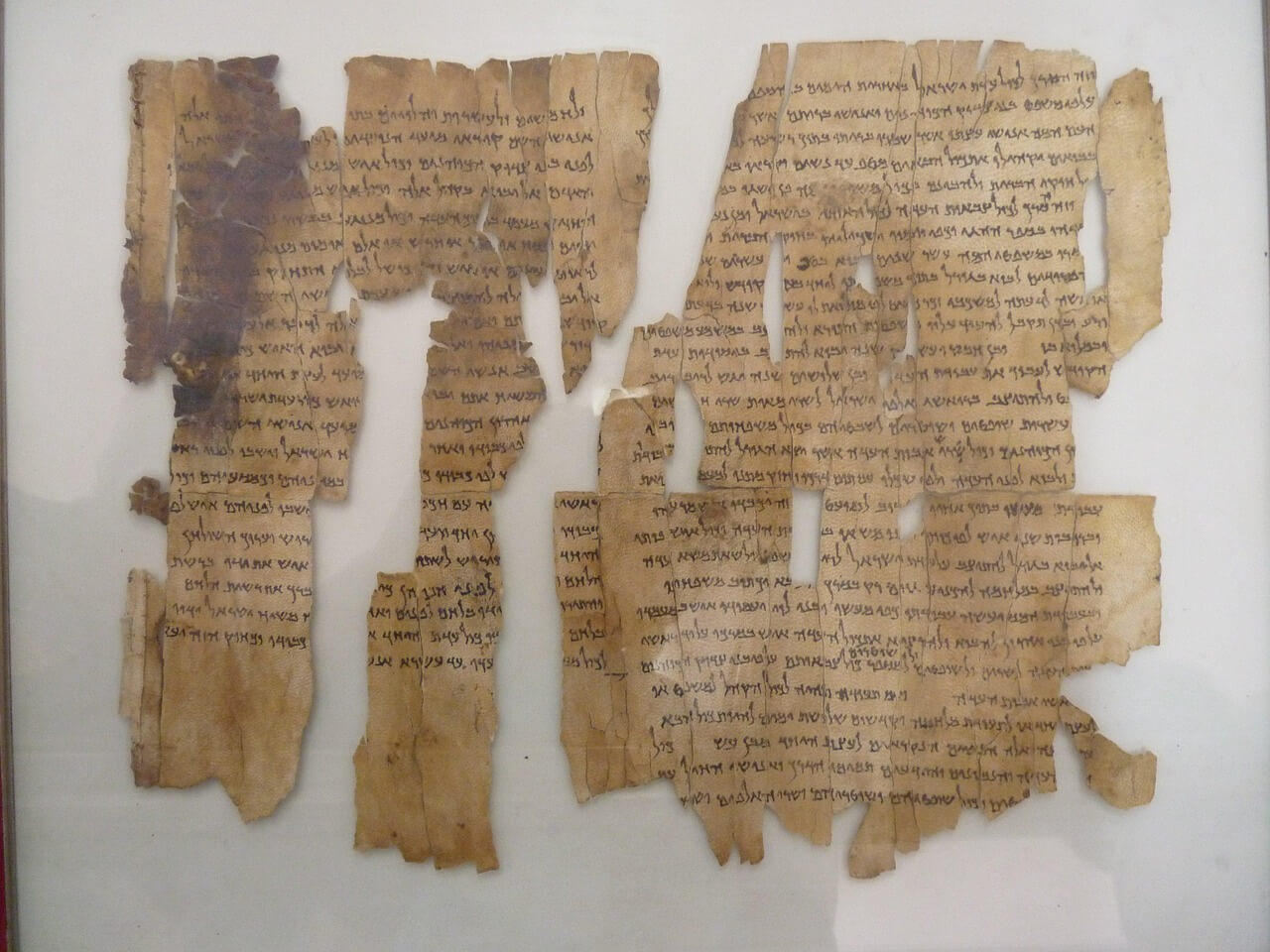 La Septuaginta: la Biblia griega